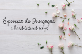 PN Époisses De Bourgogne Font Review for Branding